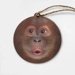 Деревянная игрушка круг Орангутанг BigFace