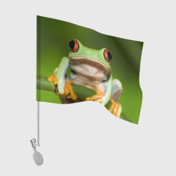 Флаг для автомобиля Лягушка