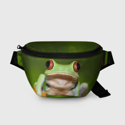 Поясная сумка 3D Лягушка