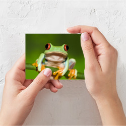Поздравительная открытка Лягушка - фото 2