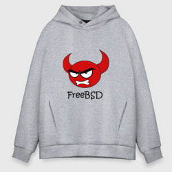 Мужское худи Oversize хлопок FreeBSD демон