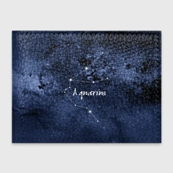 Обложка для студенческого билета Водолей Aquarius