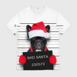 Прикольный Санта