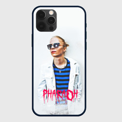 Чехол для iPhone 12 Pro Max Pharaoh 2