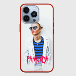 Чехол для iPhone 13 Pro Pharaoh 2