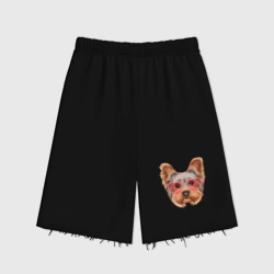 Женские шорты oversize футер хлопок Йоркширский терьер в очках сердечках