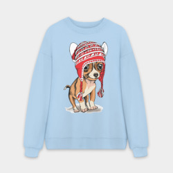 Мужской свитшот oversize без начеса хлопок Чихуахуа в шапочке