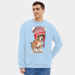 Мужской свитшот oversize без начеса хлопок Чихуахуа в шапочке - фото 2