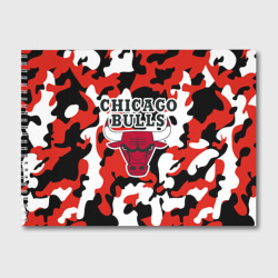 Альбом для рисования Chicago bulls Чикаго буллс