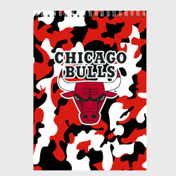 Скетчбук Chicago bulls Чикаго буллс