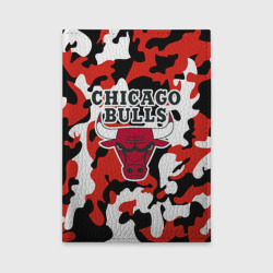 Обложка для автодокументов Chicago bulls Чикаго буллс