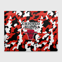 Обложка для студенческого билета Chicago bulls Чикаго буллс