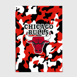 Постер Chicago bulls Чикаго буллс