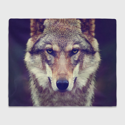 Плед 3D Wolf, цвет 3D (велсофт)