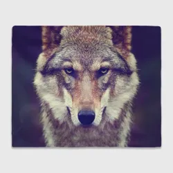 Плед 3D Wolf