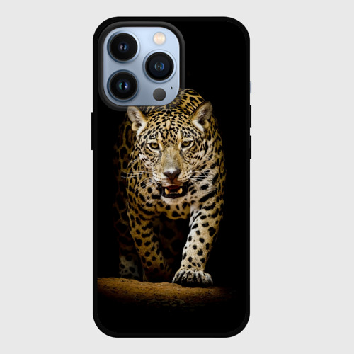 Чехол для iPhone 13 Pro Leopard, цвет черный