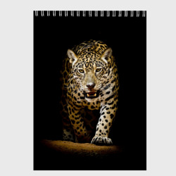 Скетчбук Leopard