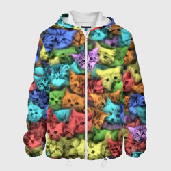 Мужская куртка 3D Разноцветные коты