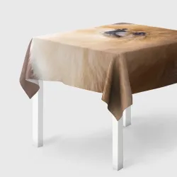 Скатерть 3D Шпиц крупным планом