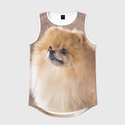 Мужская спортивная майка 3D Шпиц крупным планом