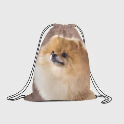 Рюкзак-мешок 3D Шпиц крупным планом