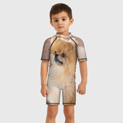 Детский купальный костюм 3D Шпиц крупным планом - фото 2