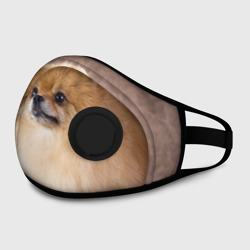 Маска из неопрена Шпиц крупным планом