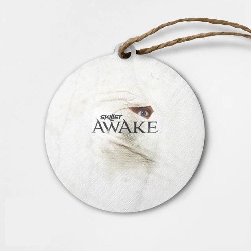 Деревянная игрушка круг Awake