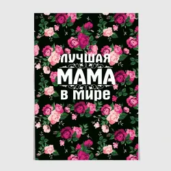 Постер Лучшая мама в мире