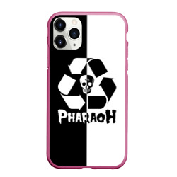 Чехол для iPhone 11 Pro матовый Pharaoh