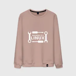 Мужской свитшот хлопок Потому что это Linux