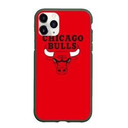 Чехол для iPhone 11 Pro матовый Chicago Bulls