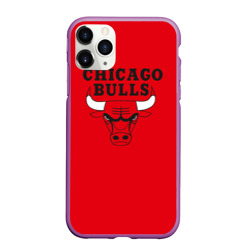 Чехол для iPhone 11 Pro Max матовый Chicago Bulls