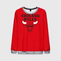 Мужской свитшот 3D Chicago Bulls