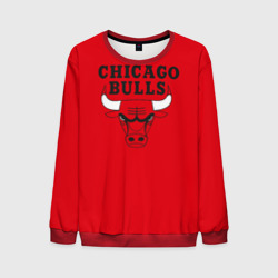 Мужской свитшот 3D Chicago Bulls