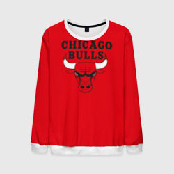 Мужской свитшот 3D Chicago Bulls