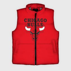 Мужской жилет утепленный 3D Chicago Bulls