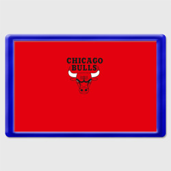 Магнит 45*70 Chicago Bulls