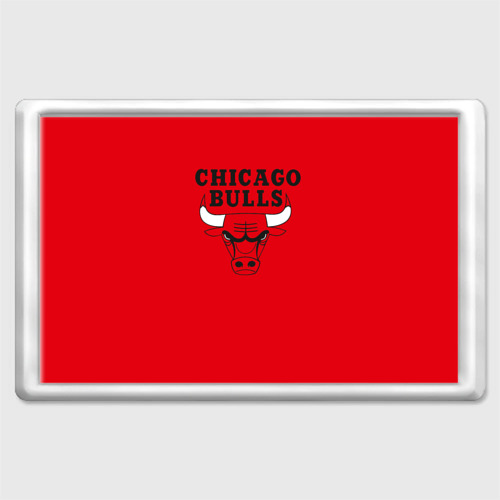 Магнит 45*70 Chicago Bulls, цвет прозрачный