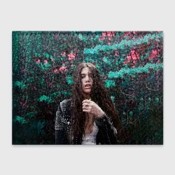 Обложка для студенческого билета Dua Lipa