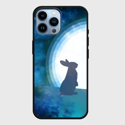 Чехол для iPhone 14 Pro Max Влюбленный зайчик