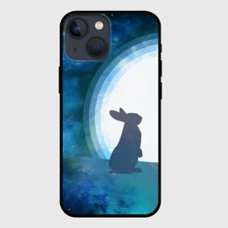 Чехол для iPhone 13 mini Влюбленный зайчик