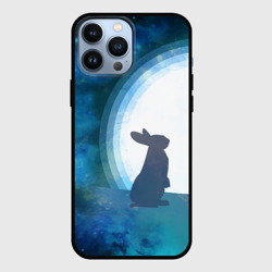 Чехол для iPhone 13 Pro Max Влюбленный зайчик