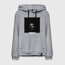 Мужская толстовка хлопок Смотрящий