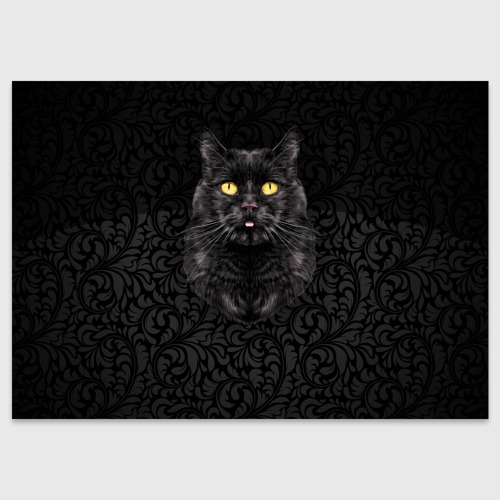 Поздравительная открытка Чёрный котик, цвет белый
