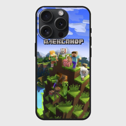 Чехол силиконовый для Apple iPhone 15 Pro матовый Александр - Minecraft