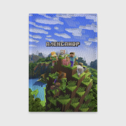 Обложка для автодокументов Александр - Minecraft