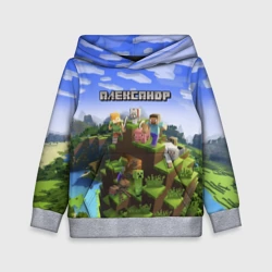 Детская толстовка 3D Александр - Minecraft