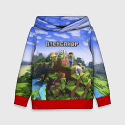 Детская толстовка 3D Александр - Minecraft