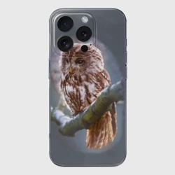 Чехол для iPhone 16 Pro Max силиконовый с защитой камеры Сова